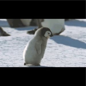 Meet your Posher, Anne